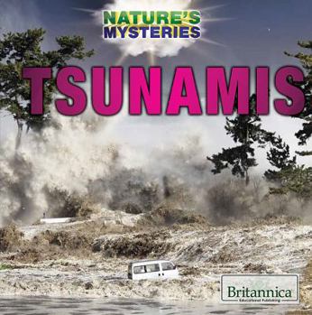 Paperback Tsunamis Book