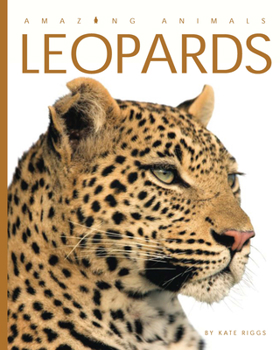 Leopards - Book  of the Amazing Animals
