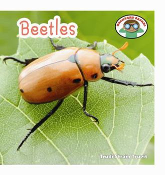 Beetles - Book  of the Backyard Safari