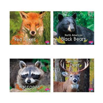 Product Bundle Woodland Wildlife Book