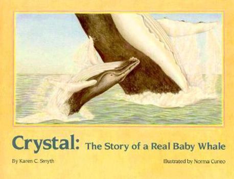 Paperback Crystal Book