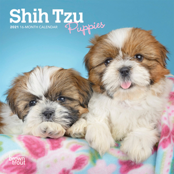 Calendar Shih Tzu Puppies 2021 Mini 7x7 Book