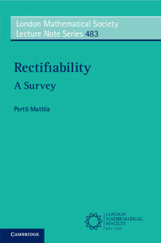 Paperback Rectifiability: A Survey Book