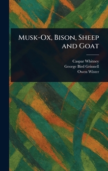 Musk-Ox, Bison, Sheep and Goat