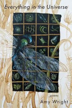 Paperback Everything in the Universe Book