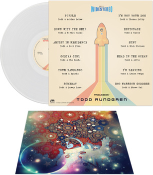 Vinyl Space Force   Clear Book