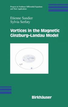 Hardcover Vortices in the Magnetic Ginzburg-Landau Model Book