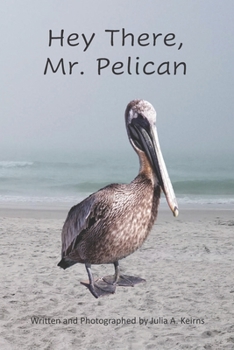 Paperback Hey There, Mr. Pelican Book