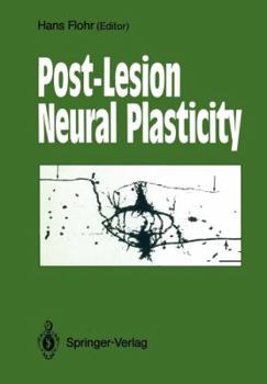 Paperback Post-Lesion Neural Plasticity Book