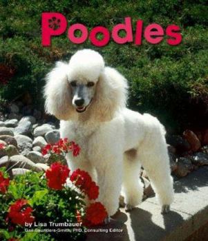 Poodles - Book  of the Dogs Library
