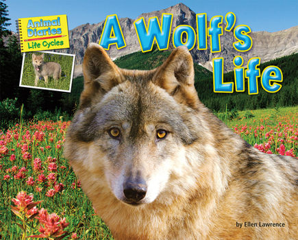 A Wolf S Life - Book  of the Animal Diaries: Life Cycles