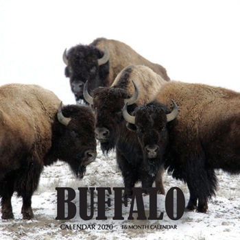 Paperback Buffalo Calendar 2020: 16 Month Calendar Book