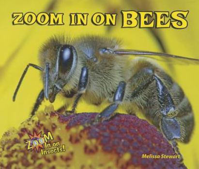 Paperback Zoom in on Bees Book