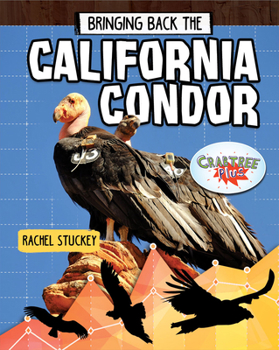 Paperback Bringing Back the California Condor Book