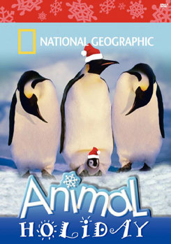 DVD National Geographic: Animal Holiday Book