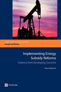 Paperback Implementing Energy Subsidy Reforms Book