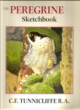 Hardcover The Peregrine Sketchbook Book