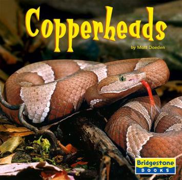Library Binding Copperheads Book