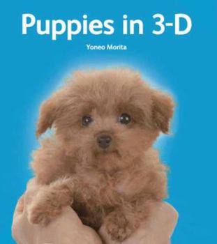 Hardcover Puppies in 3-D [With 3-D Viewer] Book
