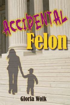 Paperback Accidental Felon Book