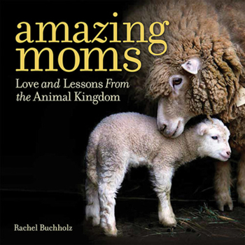 Hardcover Amazing Moms: Love and Lessons from the Animal Kingdom Book