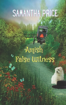 Paperback Amish False Witness Book