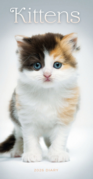 2026 Kittens Slim Diary Planner