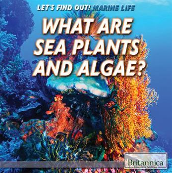 Paperback What Are Sea Plants and Algae? Book