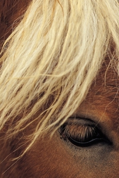 2020 Daily Planner Horse Photo Equine Horse White Mane 388 Pages: 2020 Planners Calendars Organizers Datebooks Appointment Books Agendas