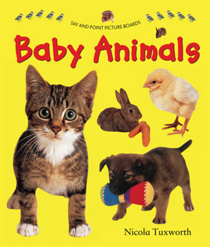 Board book Baby Animals Book