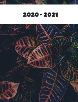 2020-2021: Monthly Planner 2020-2021