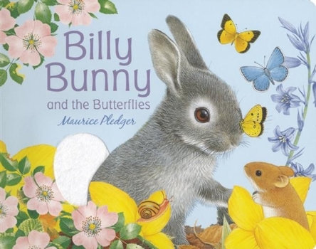 Board book Billy Bunny and the Butterflies Book