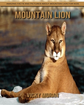 Paperback Mountain Lion: Amazing Facts and Pictures about Mountain Lion for Kids Book