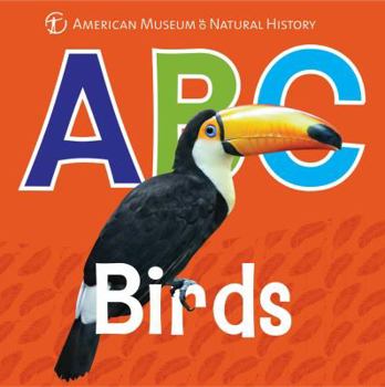 Board book ABC Birds Book