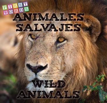 Board book Animales Salvajes: Wild Animals [Spanish] Book