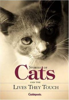 Hardcover Stories About Cats and the Lives They Touch Book
