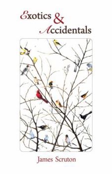 Paperback Exotics & Accidentals Book