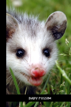 Paperback baby possum: small lined Opossum Notebook / Travel Journal to write in (6'' x 9'') 120 pages Book