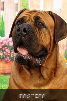 Paperback Mastiff: Complete breed guide Book