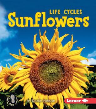 Sunflowers - Book  of the First Step Nonfiction: Plant Life Cycles