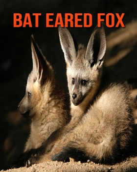 Paperback Bat Eared Fox: Super Fun Facts And Amazing Pictures Book