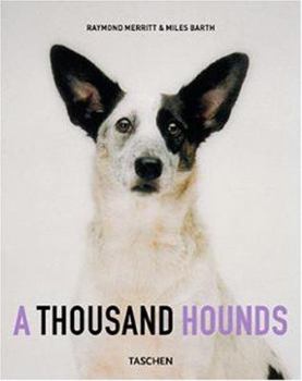 Hardcover A Thousand Hounds Book