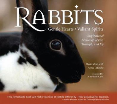 Paperback Rabbits: Gentle Hearts, Valiant Spirits: Inspirational Stories of Rescue, Triumph, and Joy Book