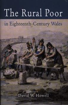 Hardcover The Rural Poor in Eighteenth Century Wales Book