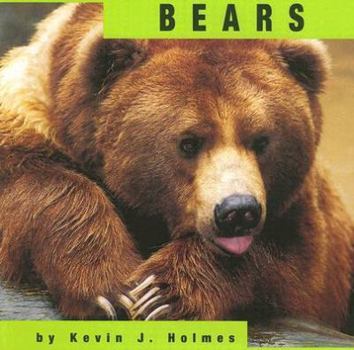 Paperback Bears (Animals) Book