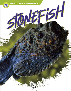 Library Binding Stonefish Book