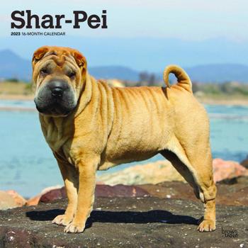 Calendar Shar Pei 2023 Square Book