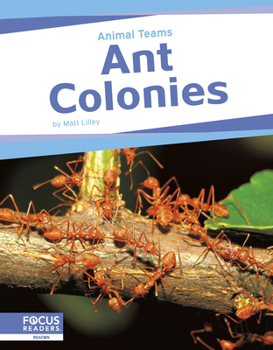 Paperback Ant Colonies Book