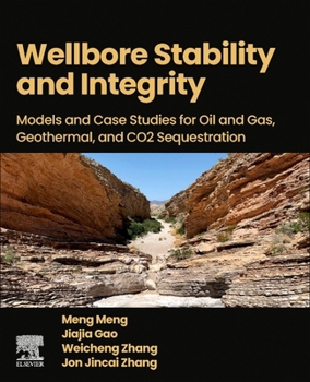 Paperback Wellbore Stability and Integrity: Models and Case Studies for Oil and Gas, Geothermal, and CO2 Sequestration Book