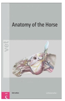Anatomy of the Horse